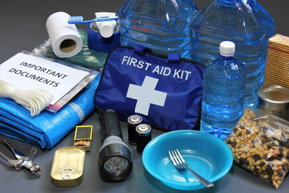 Support for Seniors: Preparing for and Responding to Emergencies